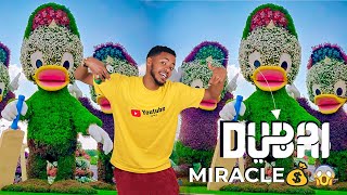 😲Mucjiso Cajiib Weeye Dubai Miracle Garden  Amazing place Dubai Miracle Garden [upl. by Innus]