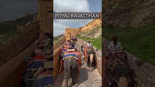 Rajasthan Tour  kesariya Balam  Jaipur Tour  Best places to visit Rajasthan rajasthantour [upl. by Netnert]