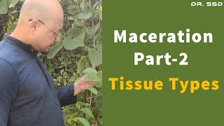 Maceration Part2 Tissue Types  Dr Sourav Singh Deo [upl. by Oriole]