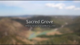 Sacred GroveWhere Nature and Wellbeing Unite Laitkynsew Meghalaya [upl. by Kiryt]