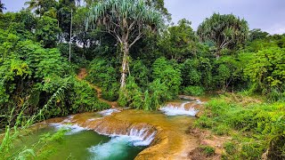 Raunsepna Inland Baining like never seen before🌿🔥 [upl. by Salbu]