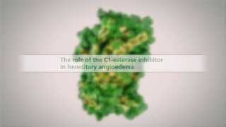 The Role of the C1Esterase Inhibitor in HAE [upl. by Becki]