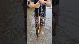 Spokane River Bass Fishing [upl. by Sunderland6]