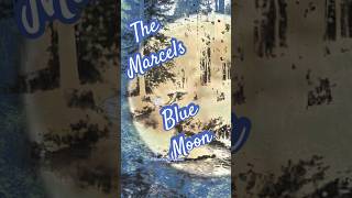 Blue Moon The Marcels doowopmusic song music bluemoon themarcels singing shortsfeed shorts [upl. by Armond794]