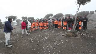 Jambo Song on Kilimanjaro [upl. by Etolas]