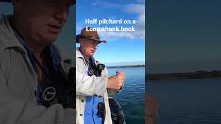 Baiting a half pilchard on a long shank hook [upl. by Jonette]