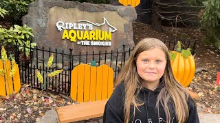 Visit to Ripley’s Aquarium of the Smokies [upl. by Ennazzus]