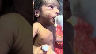 New born baby feeding just after birth babyshorts baby cutebabycarebaby cutebaby sleepingbaby [upl. by Ahseka]