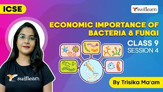 Economic Importance Of Bacteria amp Fungi  Importance of Fungi  Class 9 Biology  S4Swiflearn [upl. by Kerwin6]