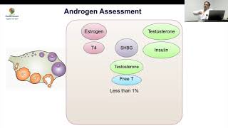 MedEClasses Lecture Series Approach to Hyperandrogenism [upl. by Corinna126]