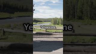 Yellowstone National Parkshorts [upl. by Patrizio653]