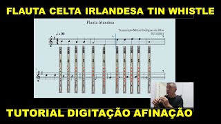 FLAUTA CELTA IRLANDESA TIN WHISTLE TUTORIAL COM TABLATURA PARTITURA AFINAÇÃO DIGITAÇÃO [upl. by Norine]