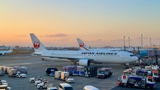 Japan Airlines A350900 amp 767300 Class J  Is it worth the Upgrade [upl. by Starobin]