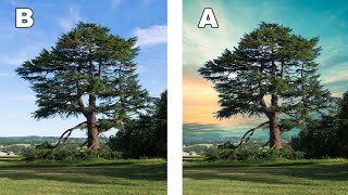 Photoshop tutorial how to remove tree background in photoshop [upl. by Dorin]