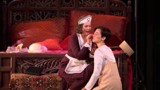 Met Opera Le Nozze Di Figaro [upl. by Zinn]