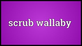 Scrub wallaby Meaning [upl. by Wit]