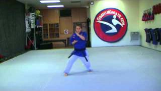 Pinan Nidan  Pinan 2 kata Goshin Karate amp Judo Academy  Scottsdale Arizona [upl. by Rovner562]