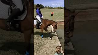 Cute girl horse 🐎 riding  ASMR horse riding by cute girl horse equestrian horseriding jumping [upl. by Faxen]