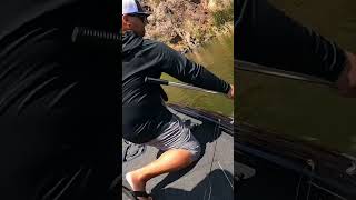 Nice Saguaro Lake bass [upl. by Biancha684]