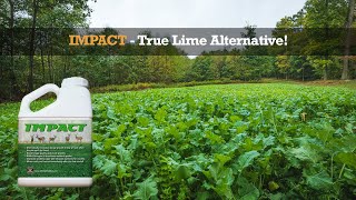 Impact – True Lime Alternative [upl. by Kreis]