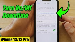 iPhone 1313 Pro How to Turn OnOff Downtime [upl. by Annabella]