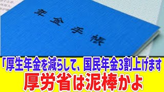 厚労省「厚生年金の支給額を減らして、今まで大した支払いしなかったやつらの国民年金給付額を3割上げます [upl. by Wun]