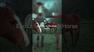 Horse Foot Was A Pad With Four Toes evolution horse eohippus history savetheworld nature [upl. by Jesselyn]