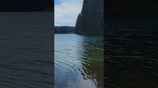 Beautiful day at Clear Lake Resort oregon mckenzie river oregon waterfall lake [upl. by Finlay774]