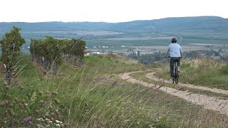 WinEcycle Tours in Langenlois [upl. by Goodkin]