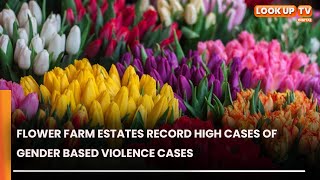 Flower Farm Estates Record High Cases Of Gender Based Violence Cases [upl. by Rana]