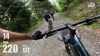 Mouflon Tracks Etap I 2023 Classic [upl. by Engenia]