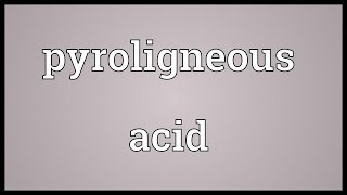 Pyroligneous acid Meaning [upl. by Nohsal307]