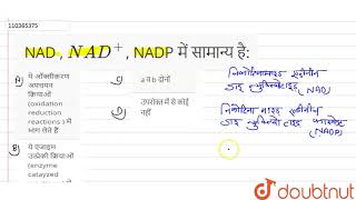 NAD  NAD  NADP में सामान्य है [upl. by Loriner]