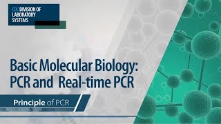 Basic Molecular Biology PCR and RealTime PCR – Principle of PCR [upl. by Furnary520]