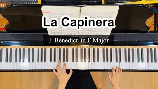 La Capinerain F MajorJ Benedict piano accompaniment [upl. by Peltier436]