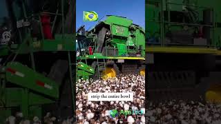 What Makes This Cotton Harvester So Efficient [upl. by Ahsenra]