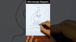 How to draw Microscope shorts diagram microscopedrawing [upl. by Lebana]