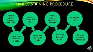 Simple staining Procedure and its Mechanism  Microbiology with Sumi [upl. by Merna569]