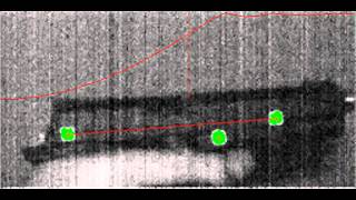 1911 Slide Velocimetry  Hammer Follow [upl. by Inafetse48]