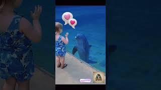 Dolphin Forms Friendship With Girl  The Most Touching Story Ever [upl. by Adnawaj31]