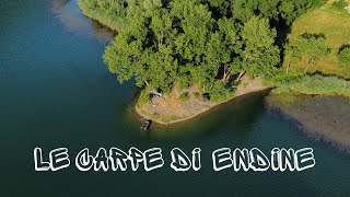 LE CARPE DI ENDINE  CARPFISHING [upl. by Charline]