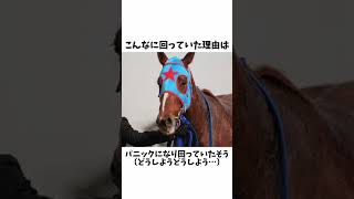 【クルクル回る】ハクサンムーンエピソード競馬 競馬予想 ウマ娘 [upl. by Yelha]