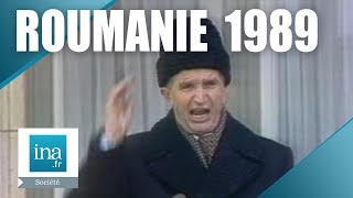 24 décembre 1989  La chute et la fuite de Nicolae Ceaușescu  Archive INA [upl. by Alegnave233]