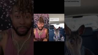 TikTok Reaction Video “Taxidermy Dog Video” [upl. by Krishna]