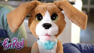 FurReal Friends  Chatty Charlie the Barkin’ Beagle Official TV Commercial [upl. by Mcgregor]