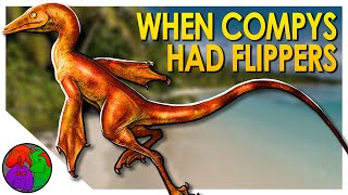 When Compsognathus Had Flippers  Bidars Compsognathus [upl. by Natsirhc]