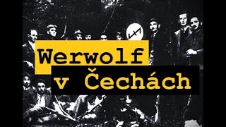 Werwolf v Čechách  5  Učebnice německých vlkodlaků [upl. by Ludovika290]