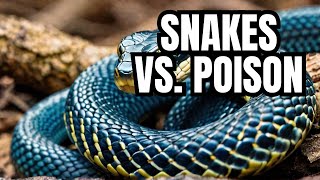 Snakes Have a SHOCKING Defense Against Poison [upl. by Layla]