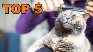 brosse pour chat  TOP 5 des brosses pour chat à acheter en 2023 [upl. by Notnirt585]