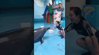 Dolphin loves girl kiss beautiful dolphin dolphinlove cute [upl. by Annamarie]